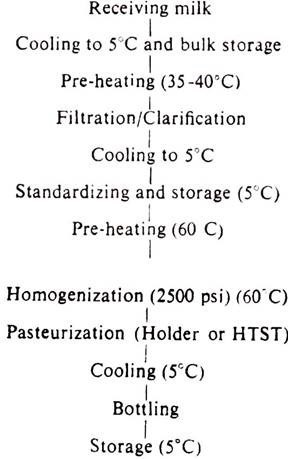 Flow Chart Of Pasteurization Of Milk